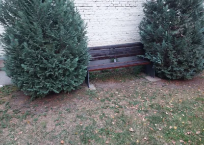 Egyedi kialakítású kültéri pad örökzöld növények között